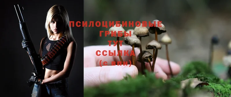 Псилоцибиновые грибы Magic Shrooms  Белоозёрский 